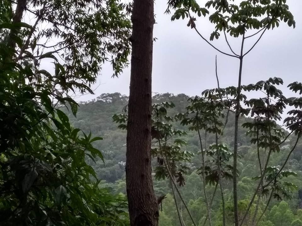 Foto - Bias Fortes - Centro